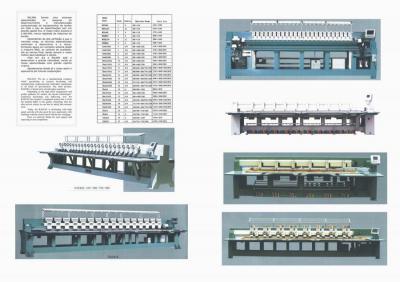 European RALIAN Embroidery Machine, Chinese Price (Europäische RALIAN Stickmaschine, Chinesisch Preis)