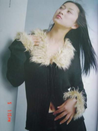 Ladies` Sweater (Ladies` Sweater)