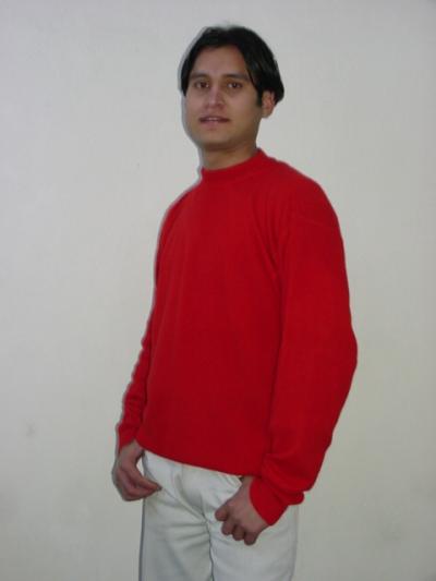 Sweaters (Pullover)