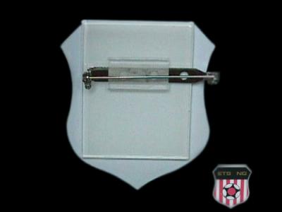 Acrylic Badge With Safety Pin / Acrylic Keyring (Acryl-Plakette mit Safety Pin / Acryl-Schlüsselanhänger)