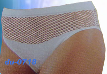 Briefs With Meshes