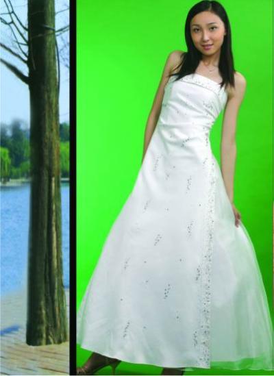 Dress (Dress)