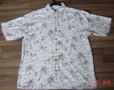 Spun Silk Printed Shirts (Spun soie imprimée Shirts)