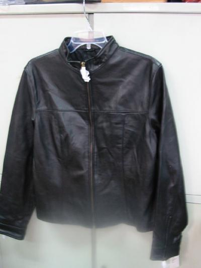Ladies` Garment
