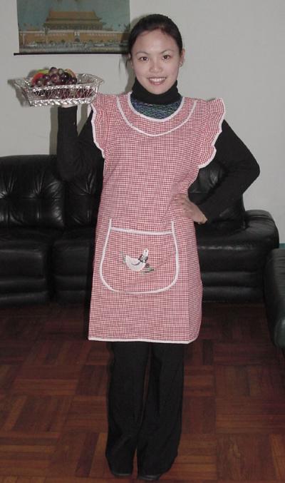 Apron (Apron)