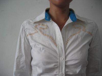 Ladies Shirt (Ladies Shirt)