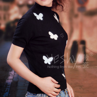 Women`s Pullover (Women `s Pullover)
