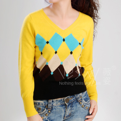Women`s Pullover (Women `s Pullover)