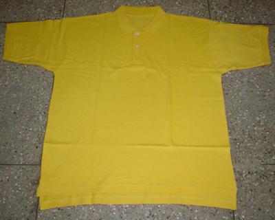 Polo T-Shirt (Polo T-Shirt)