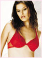 Sexy Bra And Panty Set Made Of Stylish Lace And Fabric By An (Sexy Bra And Panty Set Made Of Stylish Lace And Fabric By An)