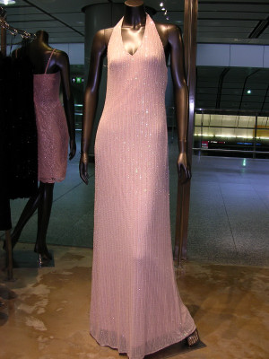 Beaded Mesh Dress (Robe en filet perlée)