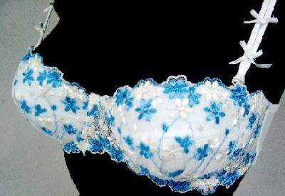 Bras (Bras)