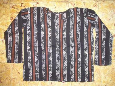 Kurti / Top (Kurti / Top)