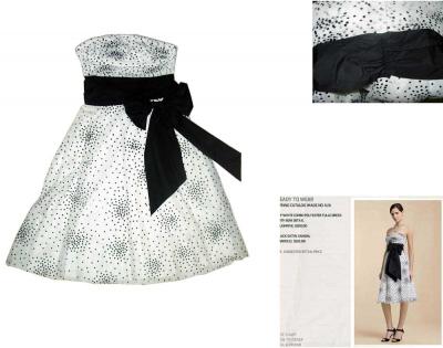 Silk Dress (Silk Dress)