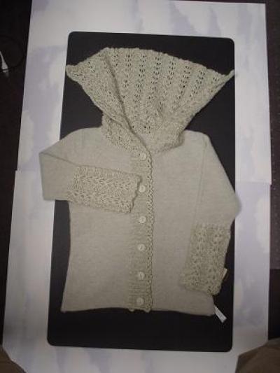 Women`s Sweater (Women `s Pullover)
