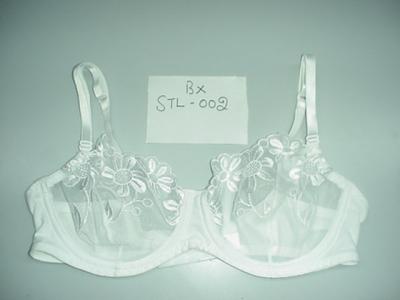 Ladies Intimate Apparels (Meine Damen Intimate Apparels)