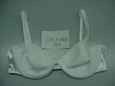 Lace Bra (Lace Bra)