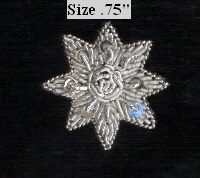 Appliques Motif