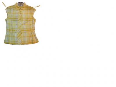Ladies` Blouse (Ladies `Chemisier)