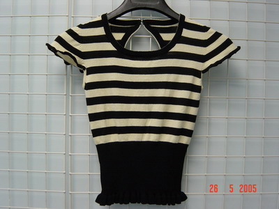Ladies Sweater