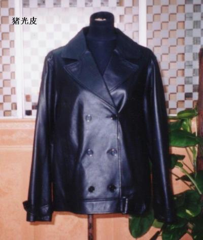 Ladies` Coat (Ladies `Coat)