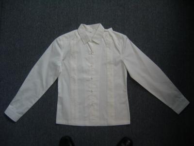 Women Linen Shirt (Женщины полотняной рубашке)