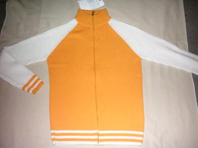Ladies Pullover (Ladies Pullover)