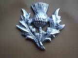 Th-Thistle (E-Thistle)