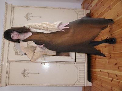 Linen Dress (Linen Dress)