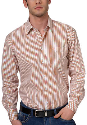Men`s Cotton Shirt (Men`s Cotton Shirt)