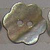 Seashell Flower Buttons