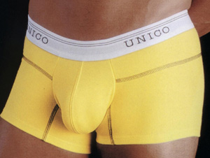 Unico Mid-cut Boxer Brief (Unico mi-coupé Boxer)