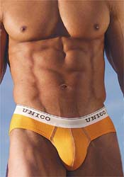 Unico Brief (Unico bref)
