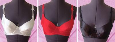 Polyester Bra (Polyester Bra)