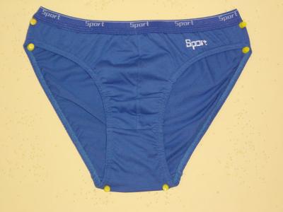 briefs