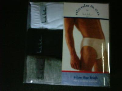 Briefs