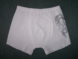 Men`s Boxer Short (Men `s Boxer Short)