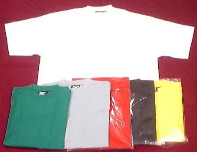 Plus Sized T-shirt (Plus Sized T-shirt)