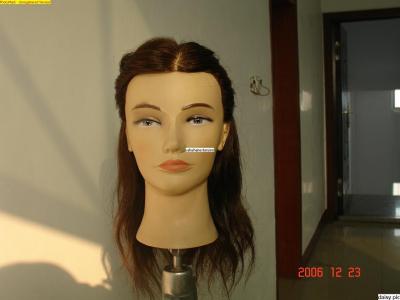 Training Head %26 Tripod Mannequins,