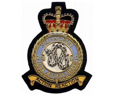 Raf Handmade Embroidered Badges (Raf ручной вышивки Значки)