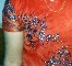 Embroidery Kameez With Stone %26 Chumki Works (Broderie Kameez Avec Stone% 26 oeuvres Chumki)