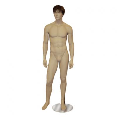 Asian Male Mannequin (Asian Male Mannequin)