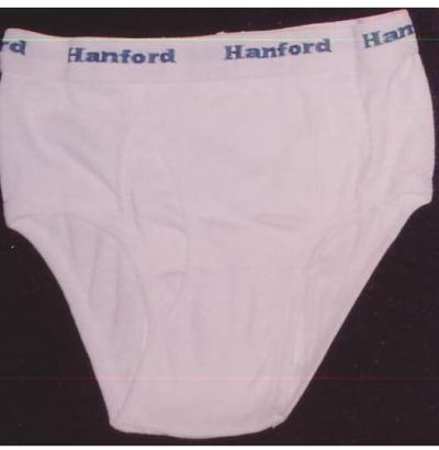 Men`s Brief