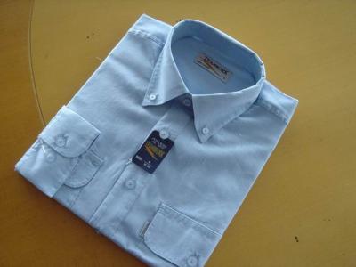 Men`s 100% Ramie Shirts (Men `s 100% Ramie Shirts)