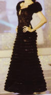 Ladies Evening Dress (Ladies Evening Dress)