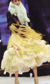 Ladies Evening Dress (Ladies Evening Dress)