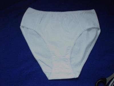 Basic Brief (Basic Slip)