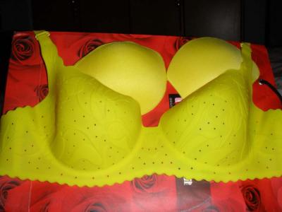 Features Of The Sports And Travelling Bra
