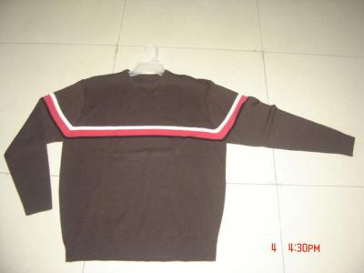 Men`s Pullover (Men `s Pullover)