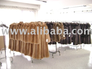 Gold Racoon Coat